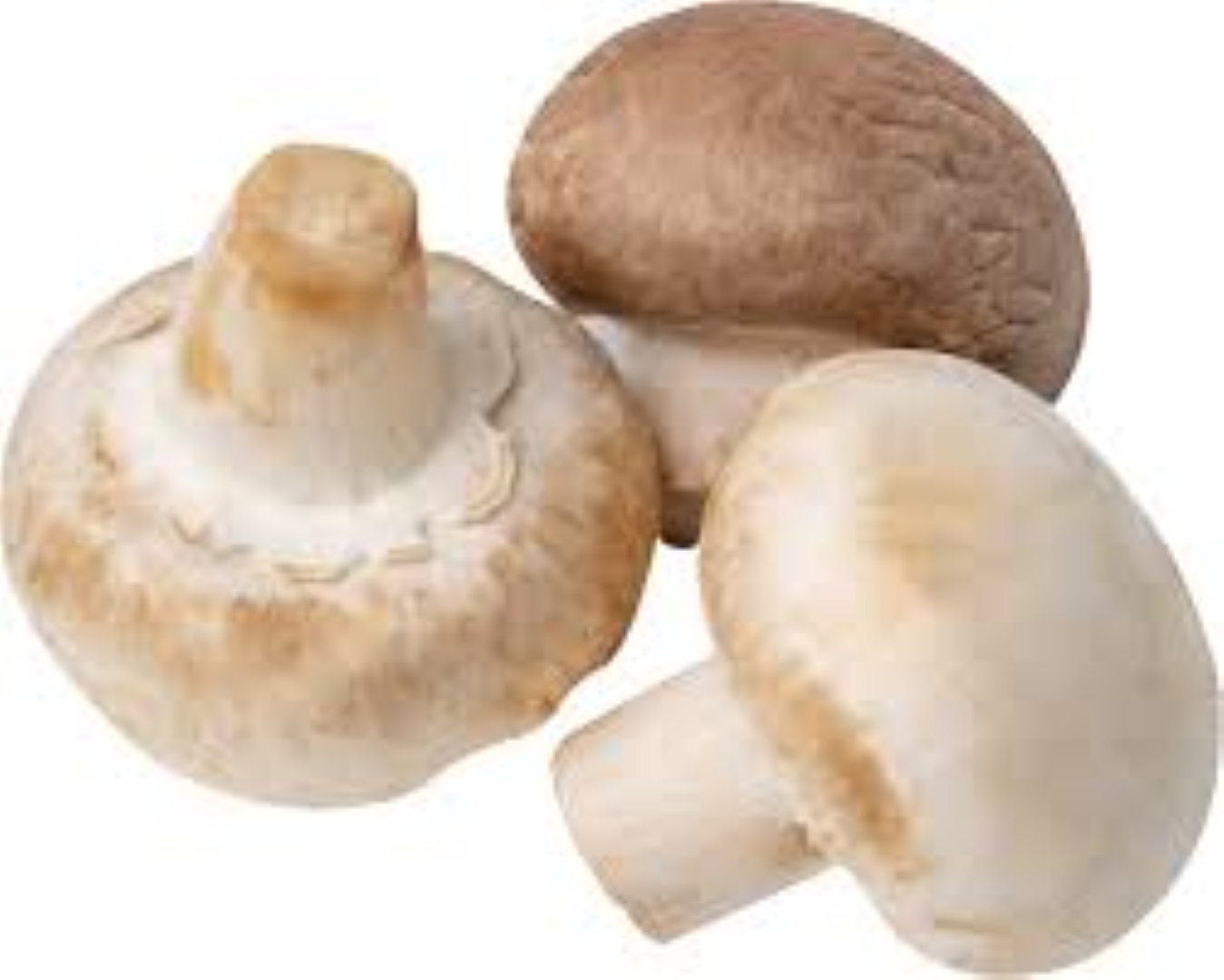 KIGALI F CREMINI MUSHROOM